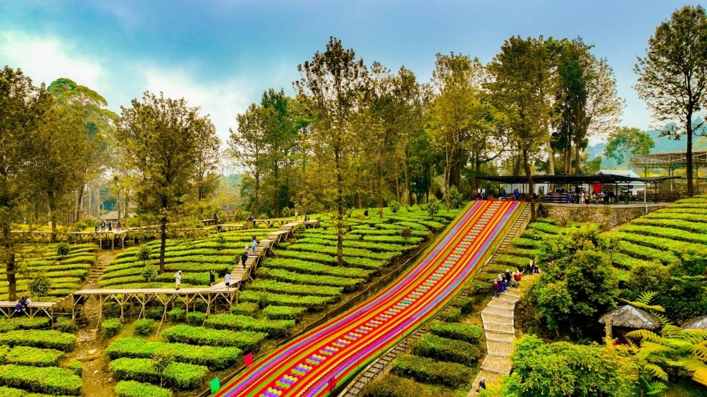Agrowisata Gunung Mas PTPN I Regional 2 Siap Menjadi Ikon Wisata Berkelas Dunia, Holding Perkebunan Nusantara Perkuat Ekonomi Lokal