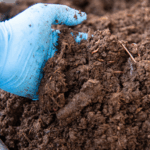 Holding Perkebunan Nusantara Perkuat Circular Economy, PalmCo Kaji Pupuk Organik