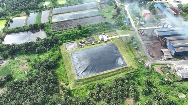 Holding Perkebunan Nusantara Dorong Mitigasi Iklim, PalmCo Jual Kredit Karbon Mulai Rp150 Ribu per Ton