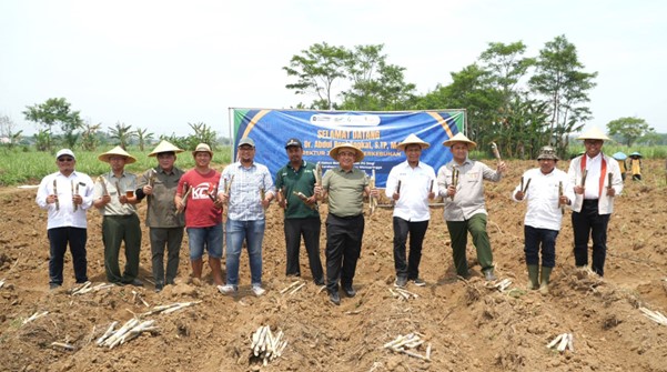 Holding Perkebunan Nusantara dan Ditjenbun Kementan Kolaborasi Percepat Bongkar Ratoon, Jaga Pasokan Gula Nasional