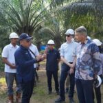 Dubes Uni Eropa Puji Upaya PTPN Group Wujudkan Hilirisasi dan Praktik Sawit Ramah Lingkungan