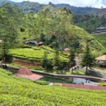 Holding Perkebunan Nusantara Hadirkan “The Healing Power of Tea” di Agrowisata Kaligua PTPN I Regional 3