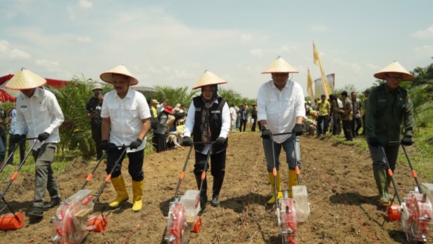 Dukung Swasembada Pangan Nasional, Holding Perkebunan Nusantara Laksanakan Tanam Perdana Padi Gogo di Lahan PSR