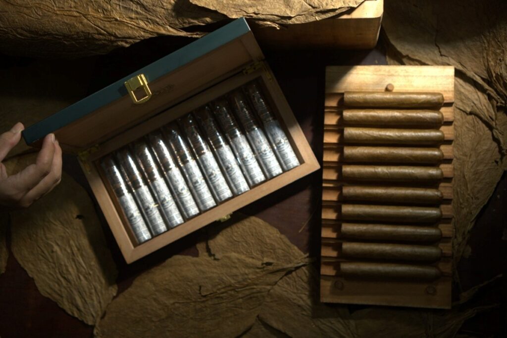 Holding Perkebunan Nusantara PTPN I Regional 1 Siapkan 500 Hektare untuk Kembalikan Kejayaan Tembakau Deli