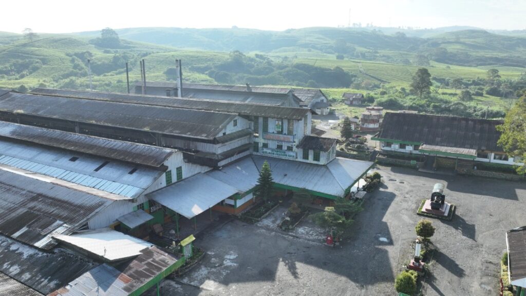 Seabad Pabrik Teh Kayu Aro, Holding Perkebunan Nusantara Jaga Warisan dan Kualitas Teh Indonesia