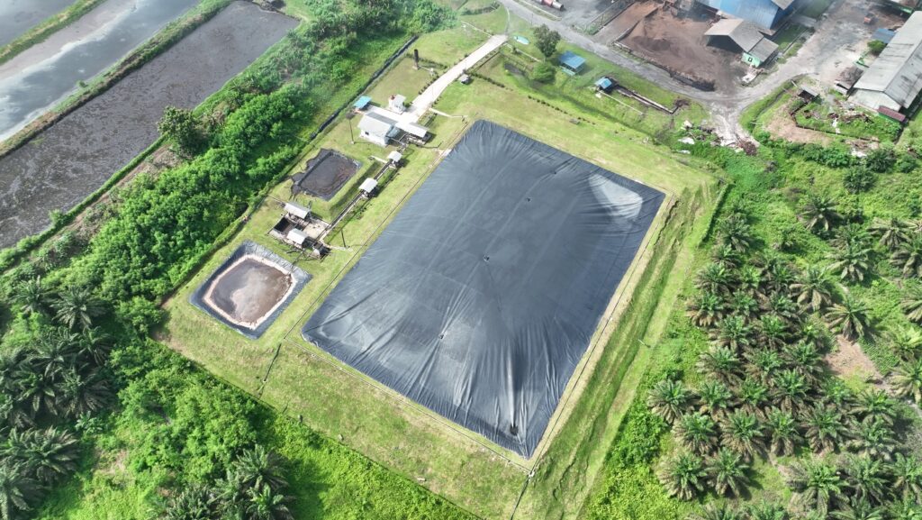 PTPN IV PalmCo Borong Dua Penghargaan ESG 2025, Tegaskan Komitmen Keberlanjutan Holding Perkebunan Nusantara