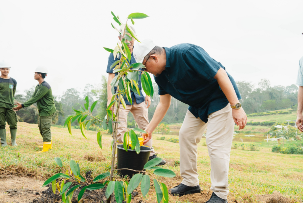 Holding Perkebunan Nusantara Tegaskan Komitmen Lingkungan Lewat Program Penghijauan PalmCo di Riau