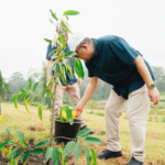 Holding Perkebunan Nusantara Tegaskan Komitmen Lingkungan Lewat Program Penghijauan PalmCo di Riau