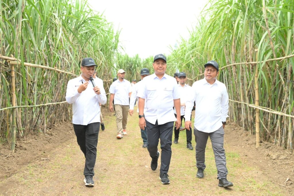 Kunjungi PG Sei Semayang, Komisaris Utama PT Danantara Dorong Sinergi dan Tata Kelola Lebih Kuat Holding Perkebunan Nusantara