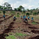 Holding Perkebunan Nusantara Dorong RPN Perkuat Ekonomi Petani Lewat Program Kopi Robusta di NTB