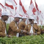 Seabad Teh Kayu Aro, Holding Perkebunan Nusantara PTPN III (Persero) Rayakan Warisan Teh Kelas Dunia