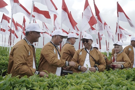Seabad Teh Kayu Aro, Holding Perkebunan Nusantara PTPN III (Persero) Rayakan Warisan Teh Kelas Dunia