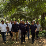 Kinerja Melonjak, Kebun Tanah Putih PTPN IV Regional III Perkuat Kontribusi Holding Perkebunan Nusantara