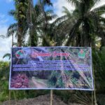 Dorong Keberlanjutan Sawit Rakyat, Holding Perkebunan Nusantara Melalui  PTPN IV Regional V Kawal  PSR di Landak
