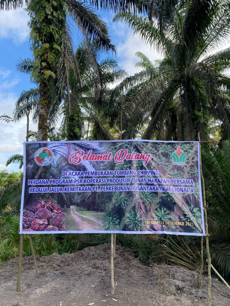 Dorong Keberlanjutan Sawit Rakyat, Holding Perkebunan Nusantara Melalui  PTPN IV Regional V Kawal  PSR di Landak