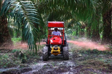 Holding Perkebunan Nusantara Siapkan Replanting 862 Hektare Sawit Renta di Air Molek 2