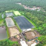 Hadapi Gejolak Energi Global, Holding Perkebunan Nusantara Andalkan PLTBg PalmCo
