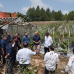 Perkuat Ketahanan Pangan, Holding Perkebunan Nusantara Melalui PTPN I Gandeng Jinxiang Kembangkan Bawang