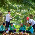 PalmCo Serap 70 Ribu Tenaga Kerja, Holding Perkebunan Nusantara Buka Peluang Kerja Baru dari Hilirisasi Sawit