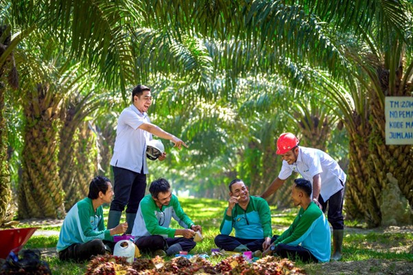 PalmCo Serap 70 Ribu Tenaga Kerja, Holding Perkebunan Nusantara Buka Peluang Kerja Baru dari Hilirisasi Sawit