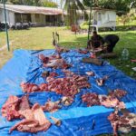 PT Sri Pamela Medika Nusantara, Anak Usaha Holding Perkebunan Nusantara Laksanakan Qurban Bersama Karyawan