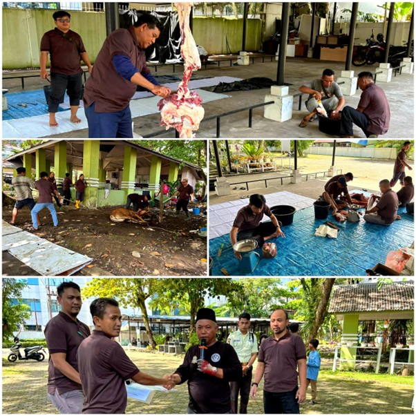 Holding Perkebunan Nusantara Wujudkan Kepedulian Sosial melalui Ibadah Kurban Insan PTPN IV Regional V