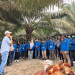 Holding Perkebunan Nusantara melalui PalmCo Perkuat Kompetensi 211 Petani Sawit Jambi